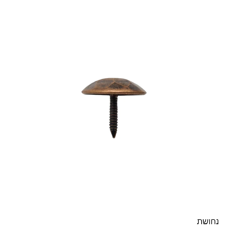 מסמר נפחות כוורת קטן - תמונה 3