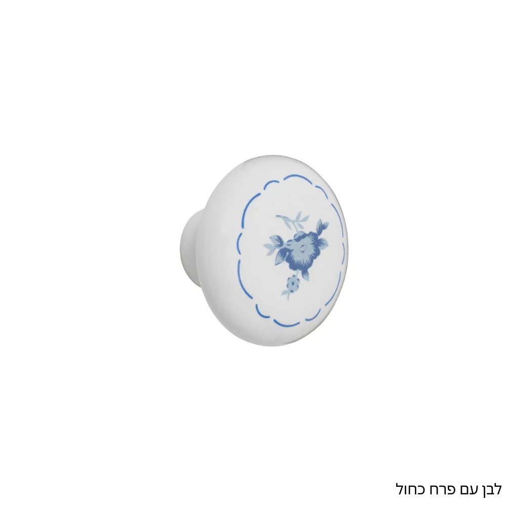 כפתור 101 - תמונה 2